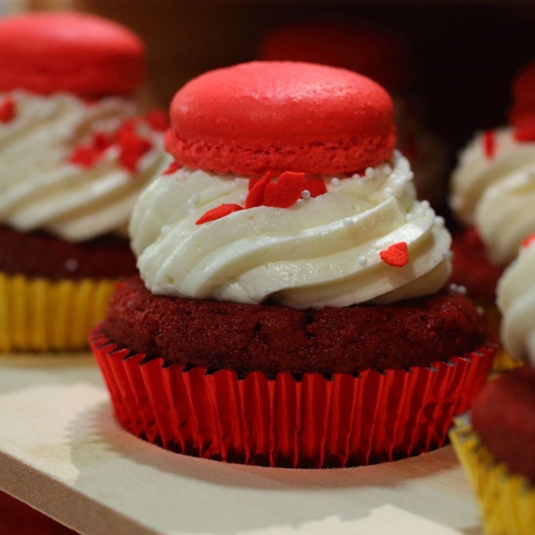 sc95x7ve41_elgourmet-2.jpg